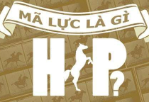 Mã Lực Là Gì? 1 Mã Lực Bằng Bao Nhiêu CC hiện nay?