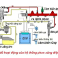 Hệ thống cung cấp nhiên liệu động cơ xăng là gì?